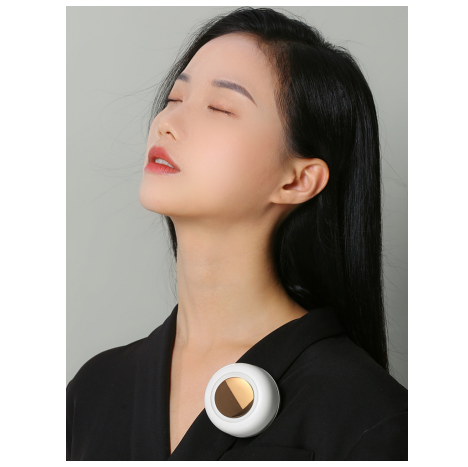 Mini waist-hanging handheld fan